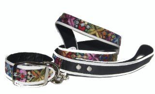 Jodi Head's RJ Cash Petwear Tina Jacquard Dog Collar and Leash, Large, Multicolor  Pet Collars 
