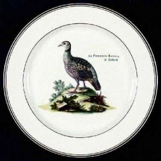 Villeroy & Boch Paradiso (Brown Trim & Band) Dinner Plate, Fine China Dinnerware