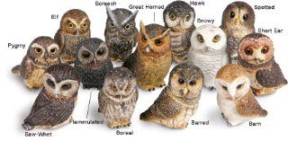 Pot Bellys   Pygmy Owl   Collectible Figurines