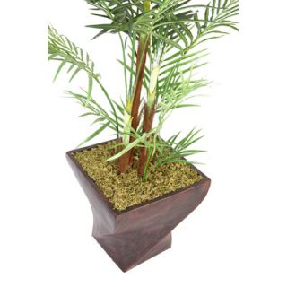 Laura Ashley Home Tall Areca Palm Tree in Planter