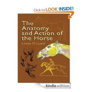 The Anatomy and Action of the Horse (Dover Anatomy for Artists) eBook Lowes D. Luard Kindle Store