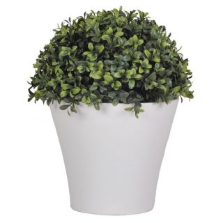 Artificial boxwood half ball topiary Matte white ceramic planter 11 H