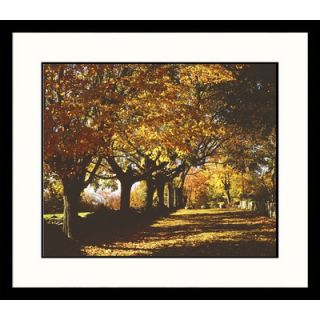 Great American Picture Autumn Path Framed Photograph