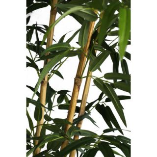 Laura Ashley Home Tall Bamboo Tree in Fiberstone Planter