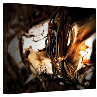 Art Wall Mend by Mark Ross Photographic Print on Canvas