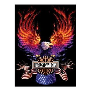 FX Schmid Harley Davidson Flaming Eagle 500 Piece Jigsaw Puzzle Toys & Games