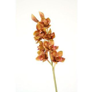 Distinctive Designs DI 761 BW DIY Flower 31 in. L Artificial Brown Cymbidium Orchid Stem 48 per Case   Pack of 6 Patio, Lawn & Garden
