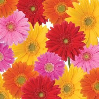 Gerbera Floral Bouquet 3 Ply Lunch Napkins 16 Pack Health & Personal Care