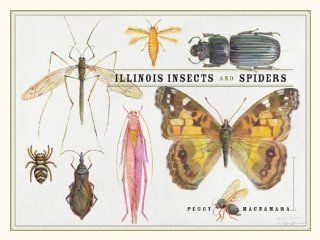 Illinois Insects and Spiders Peggy Macnamara 9780226501000 Books