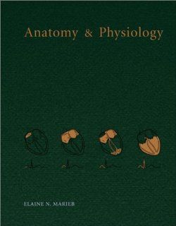 Anatomy & Physiology (9780805364699) Elaine N. Marieb Books