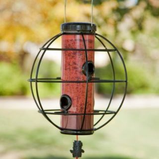 Avant Garden Zen Lantern Bird Feeder   Bird Feeders