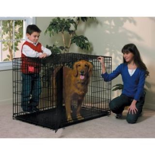 Midwest Life Stages Folding Double Door Dog Crate   Dog Crates
