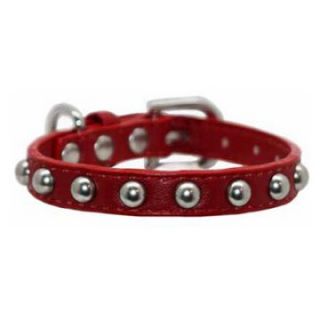 Hip Doggie Red Silver Stud Collar   Dog Collars