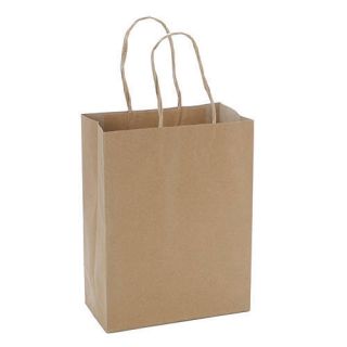 Kraft Gift Bags Pkg/12