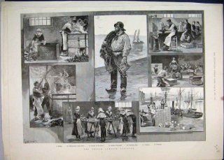 1890 French Sardine Industry Fisherman Work Old Print  