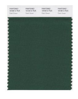 PANTONE SMART 19 5513X Color Swatch Card, Dark Green   House Paint  