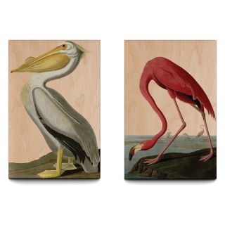Birds of America 12 x 18 Two Piece Plywood Art Set   Wall Sculptures and Panels