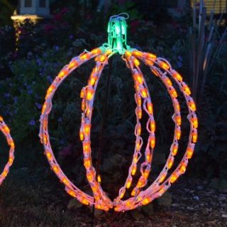 20 in. LED 3D Pumpkin Lighted Display   114 Bulbs   Christmas Lights
