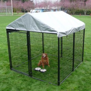 AKC 10 x 10 x 6 ft. Pro Breeder Dog Kennel with Cover   Dog Kennels