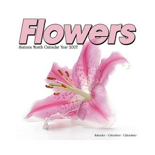 Flowers 2007 Wall Calendar World of Discovery 9781846621482 Books