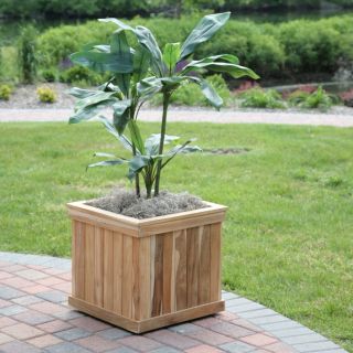 Square Teak Wood Shadow Tree Box   Planters