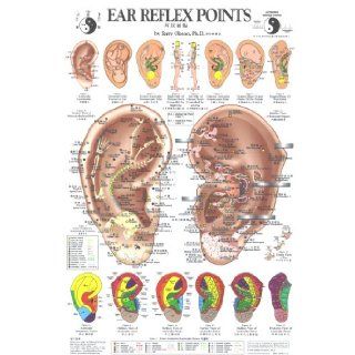 Ear Reflex Points Chart (Chinese Edition) (English and Chinese Edition) Terry Oleson 9780962941580 Books