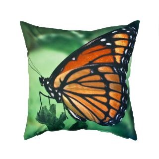 Divine Designs Brilliant Butterfly Outdoor Pillow   20L x 20W in.   Green / Orange   Outdoor Pillows