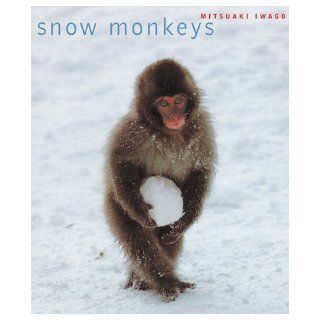 Snow Monkeys Mitsuaki Iwago, Hideko Iwago 9780811822183 Books