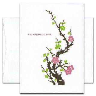 Thinking of You Cards Spring Branch   box of 10 cards & envelopes  Greeting Cards 