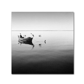 Trademark Fine Art Boat and Heron II by Moises Levy Canvas Wall Art, 35 by 35 Inch   Prints