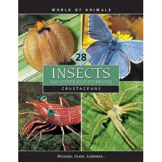 Insects and Other Invertebrates (World of Animals (Danbury, Conn.), V. 21 30.) 9780717258949 Books