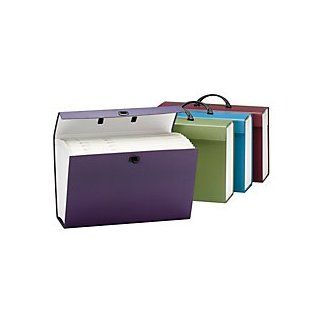 Smead(R) 19 Pocket Expanding Casefile With Handle, Assorted (No Color Choice)  File Folders 