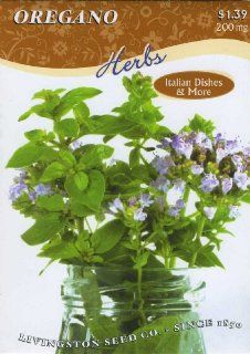 Oregano (Perennial)  Herb Plants  Patio, Lawn & Garden