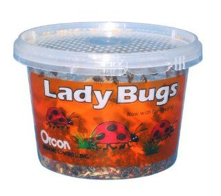 Orcon LB C1500 Live Ladybugs, Approximately 1, 500 Count  Patio, Lawn & Garden