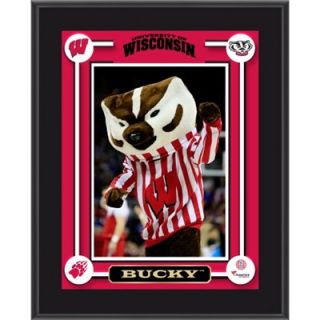 Wisconsin Badgers Bucky Mascot Sublimated 10.5 x 13 Plaque