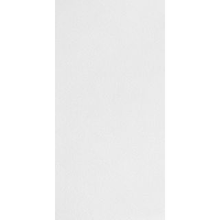 Armstrong 10 Pack Dune Ceiling Tile Panel (Common 24 in x 48 in; Actual 23.719 in x 47.719 in)