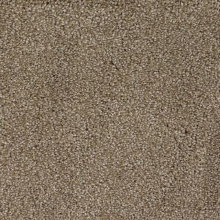 Dixie Group Trusoft Shafer Valley 103 Brown Cut Pile Indoor Carpet