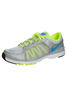 Nike Performance   FLEX TRAINER 2   Sports shoes   grey