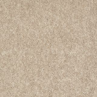 Shaw 7L52800107 Cream Textured Indoor Carpet