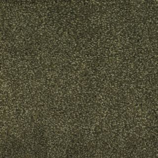 Dixie Group Trusoft Shafer Valley 120 Green Cut Pile Indoor Carpet