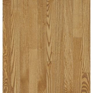Bruce Americas Best Choice 2.5 in W Prefinished Ash 3/4 in Solid Hardwood Flooring (Spice)