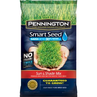 Pennington Smart Seed 20 lb Sun and Shade Ryegrass Seed Mixture