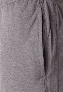 Nike Performance FLY SHORTS   Shorts   grey