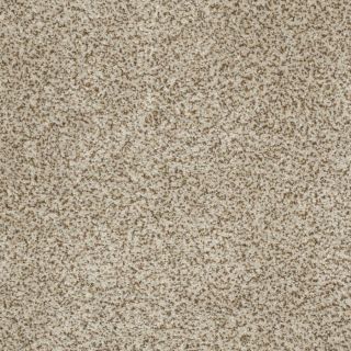 STAINMASTER Trusoft Private Oasis III Solarius Textured Indoor Carpet