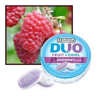 Ice Breakers Duo Fruit + Cool Mints, Raspberry, 1.3 Ounce Containers (Pack of 8)  Candy Mints  Grocery & Gourmet Food