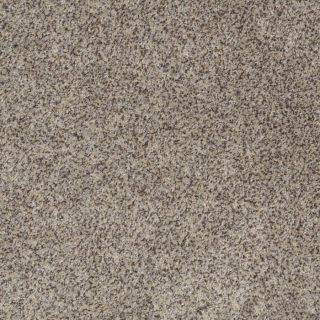 STAINMASTER Trusoft Private Oasis III Aztec Wave Textured Indoor Carpet
