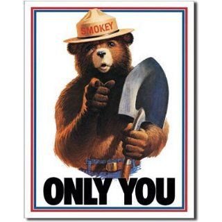 Smokey the Bear Only You Can Prevent Forest Fires Retro Vintage Tin Sign   Prints