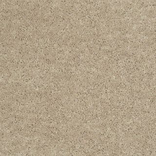 Shaw Batter Up I Flax Seed Textured Indoor Carpet