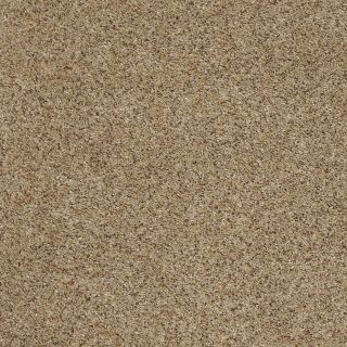 STAINMASTER Trusoft Luscious IV Riverbed Cut Pile Indoor Carpet