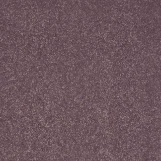 Shaw Intuition I Mulberry Textured Indoor Carpet